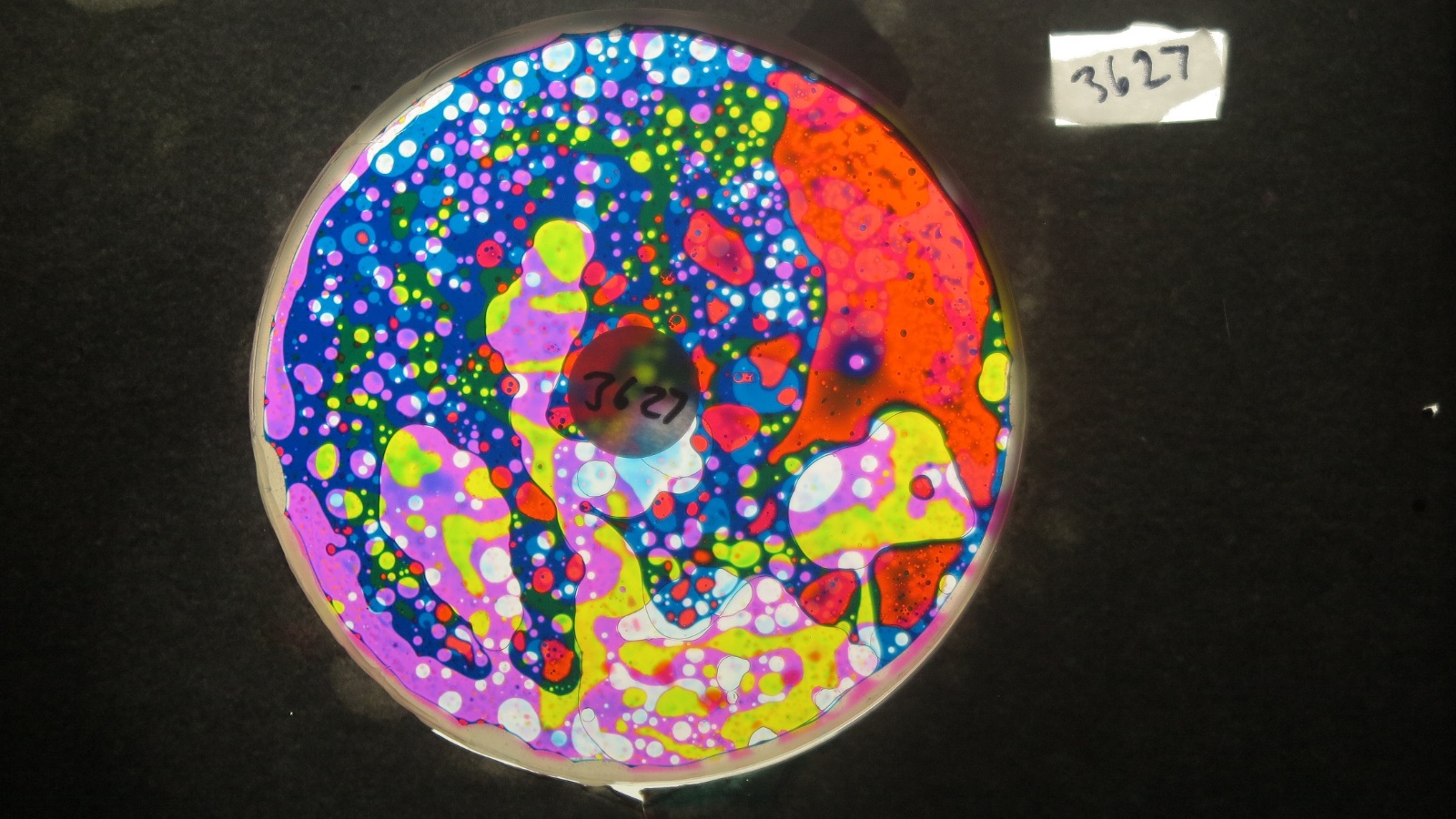 BV3627 bubble vision oil wheel